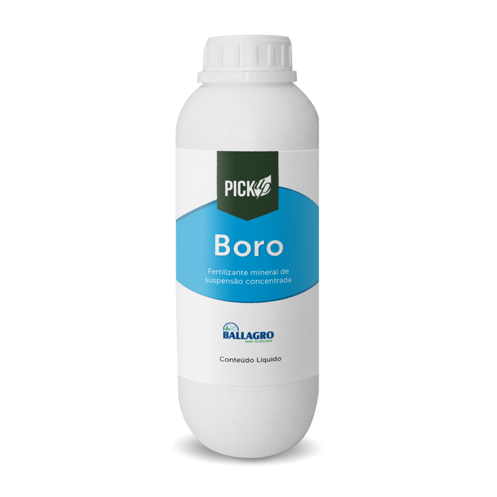 pickup_boro_1000X1000