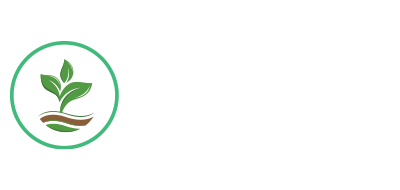performance_btn