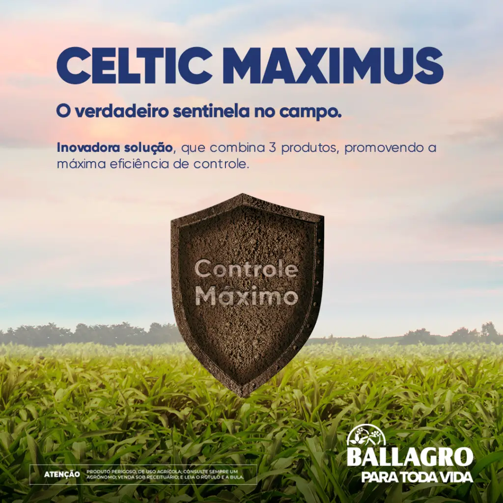 CelticMaximus