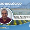 Conhecer Agro – Manejo de Biológico em áreas de cultivo intensivo – Guido Aguilar Sanchez – #EP33