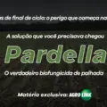 Doenças de final de ciclo: O perigo que começa na palhada.