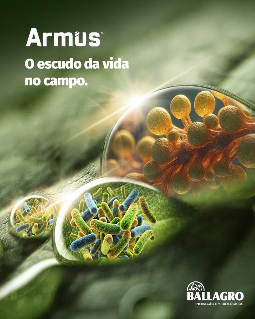Armus