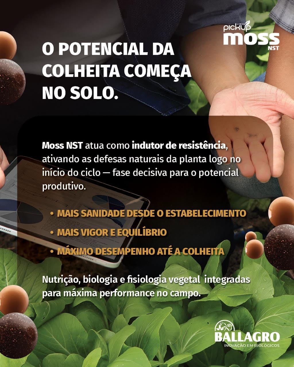 04-MossNST